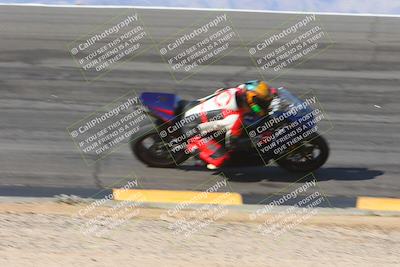 media/Feb-04-2024-SoCal Trackdays (Sun) [[91d6515b1d]]/1-Bowl (950am)/